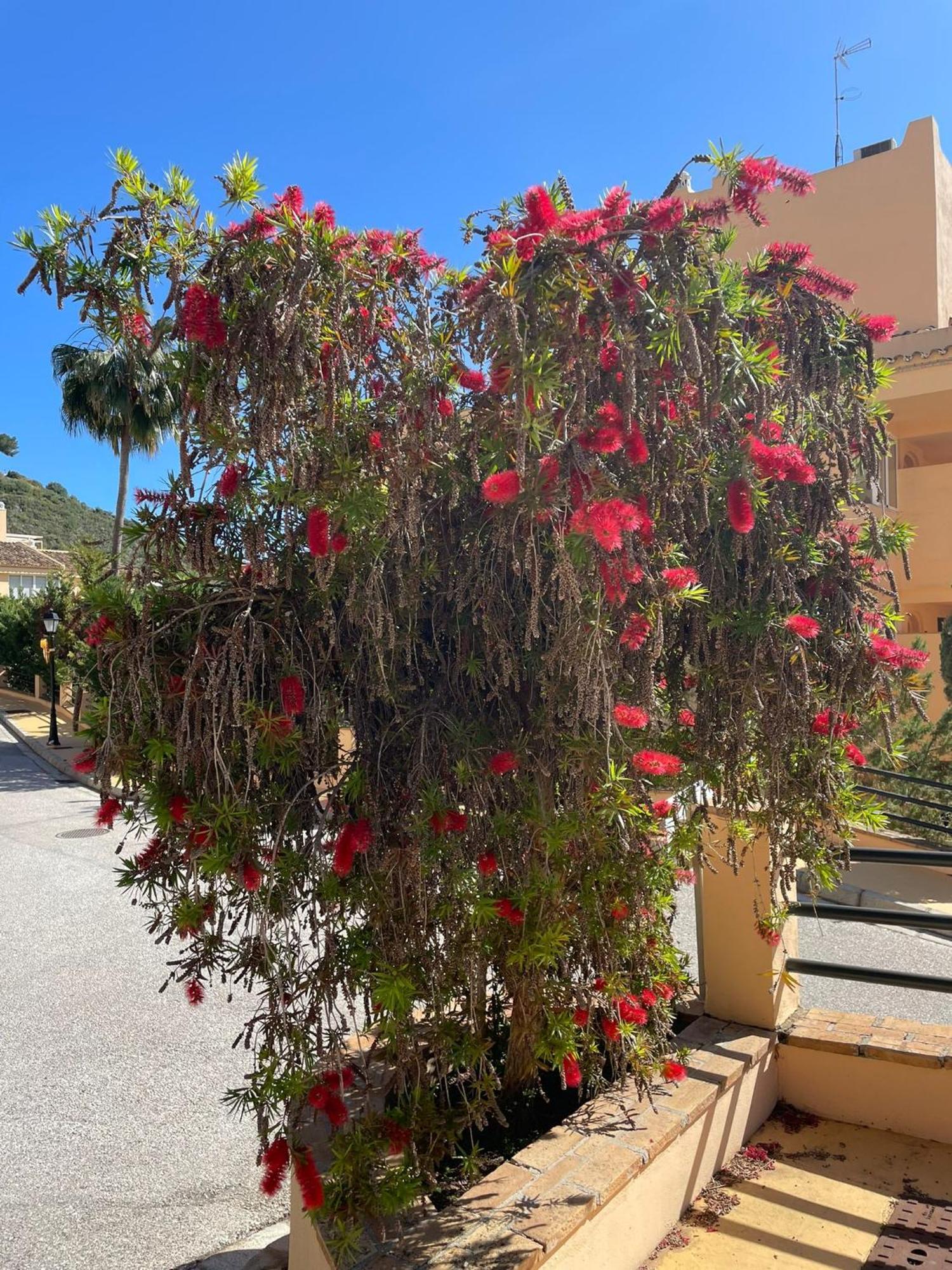 Santa Maria Village, Elviria, Marbellac Extérieur photo